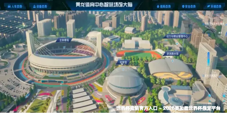 高效使用指南